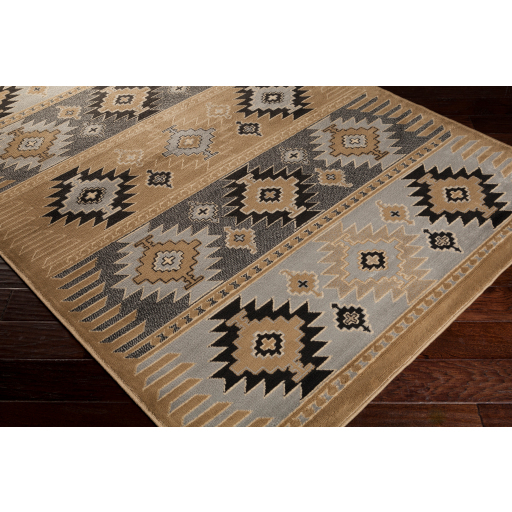 Surya Paramount PAR-1045 Area Rug on Angle