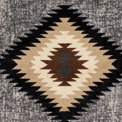 Surya Paramount PAR-1094 Area Rug Swatch