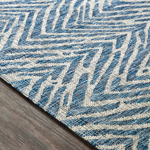 Surya Eagean EAG-2319 Area Rug Edge