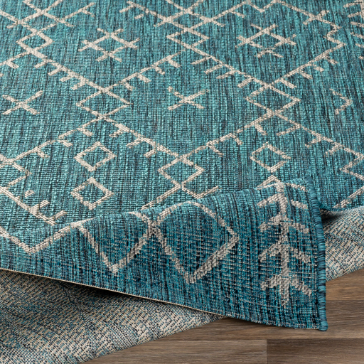 Surya Eagean EAG-2330 Area Rug Texture