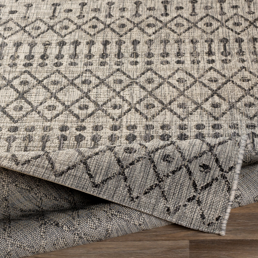 Surya Eagean EAG-2334 Area Rug Texture