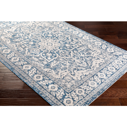 Surya Eagean EAG-2336 Area Rug on Angle