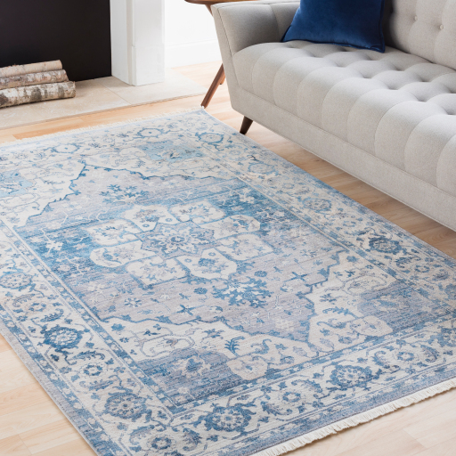 Surya Ephesians EPC-2317 Area Rug Room Scene