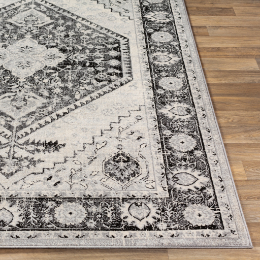 Surya Monaco MOC-2329 Area Rug Corner