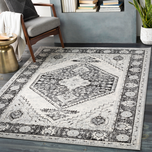 Surya Monaco MOC-2329 Area Rug Room Scene