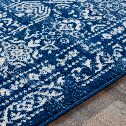 Surya Roma ROM-2310 Area Rug Edge