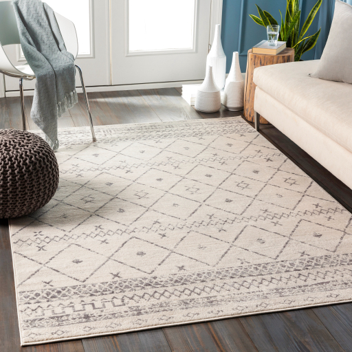 Surya Roma ROM-2338 Area Rug Room Scene