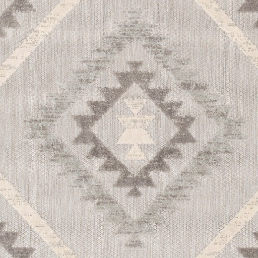 Surya Big Sur BSR-2313 Area Rug Swatch