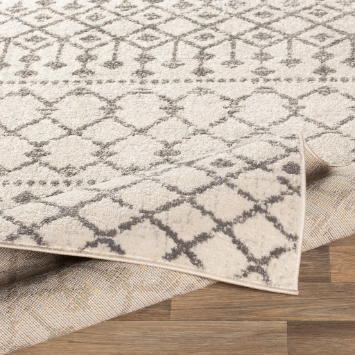 Surya Chester CHE-2319 Area Rug Texture