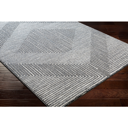 Surya Nepali NPI-2317 Area Rug on Angle