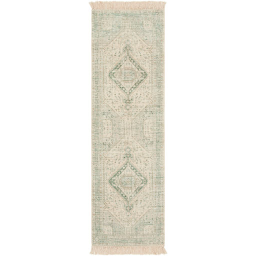 Surya Zainab ZAI-2303 Runner Area Rug