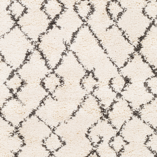 Surya Berber Shag BBE-2301 Area Rug Swatch