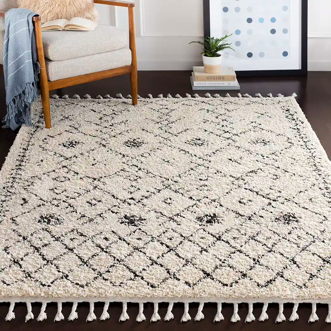 Surya Berber Shag BBE-2302 Area Rug - Carpetmart.com - Carpet