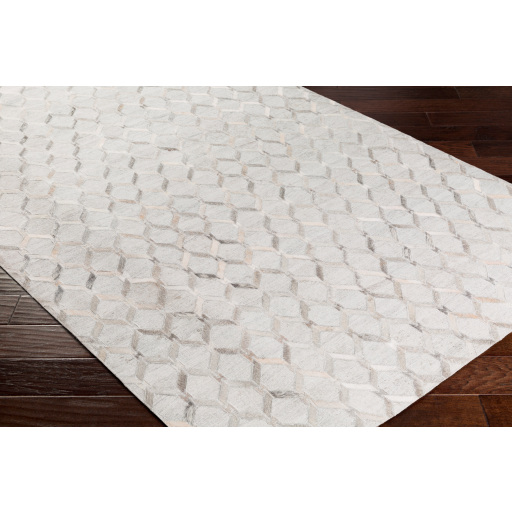 Surya Medora MOD-1010 Area Rug on Angle