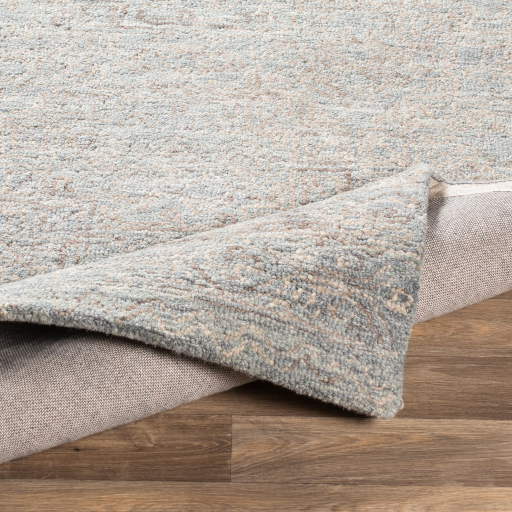 Surya Newcastle NCS-2310 Area Rug Texture