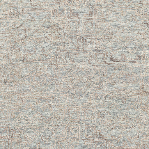 Surya Newcastle NCS-2310 Area Rug Swatch