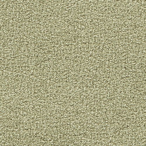 Mohawk Stylish Story III - Silk Grass Carpet