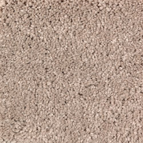 Mohawk Premier Look - Desert Travels Carpet