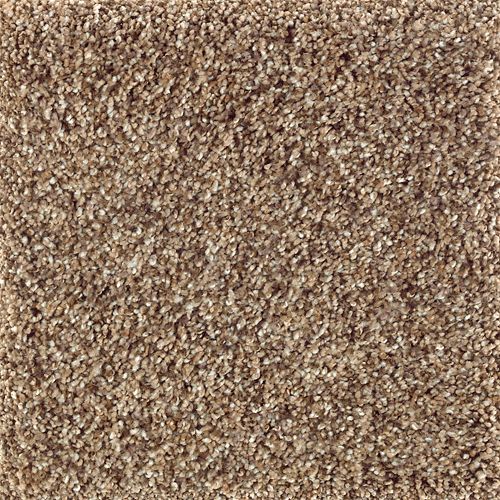 Mohawk Natures Luxury I - Worn Leather Carpet