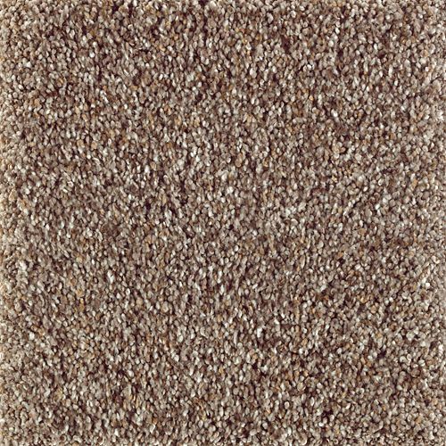 Mohawk Natures Luxury I - Stonework Carpet