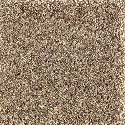 Mohawk Natures Luxury II - Cobble Path Carpet