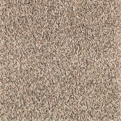 Mohawk Natures Elegance - Desert Scene Carpet