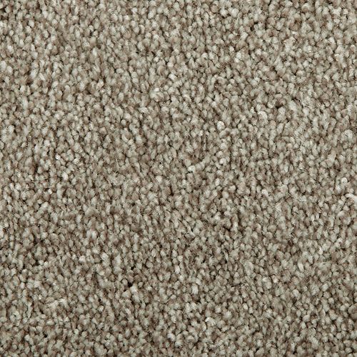 Mohawk Distinct Beauty I - Shaded Earth Carpet