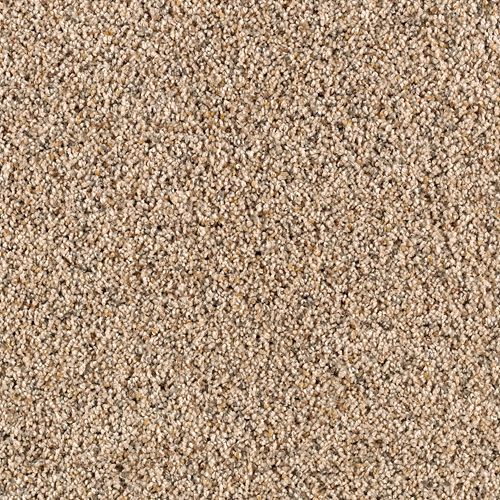 Karastan Unprecedented - Coastal Beige Carpet