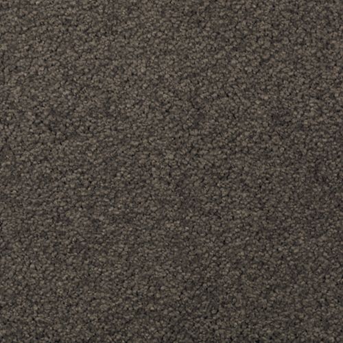 Mohawk Absolute Elegance I - Wrought Iron Carpet