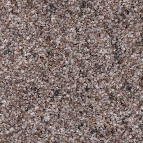 Mohawk Advanced View I - Dried Peat Carpet