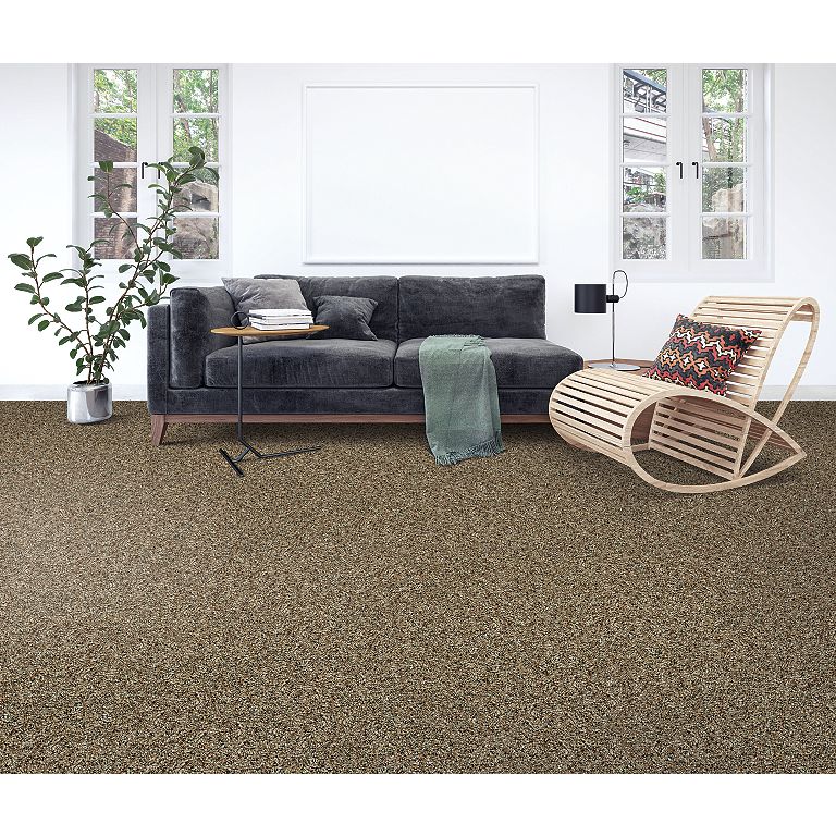 Mohawk Authentic Match - Cedar Carpet