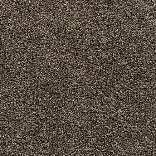 Mohawk Bold Choice - Cathedral Carpet