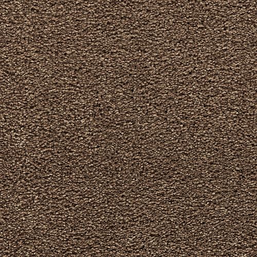 Mohawk Bold Choice - Cattails Carpet