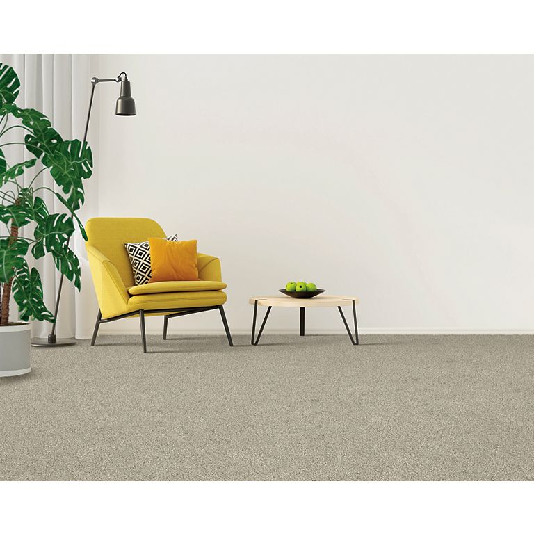 Mohawk Calming Image I - Artisan Hue Carpet