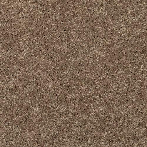 Mohawk Calming Image I - Mallard Carpet