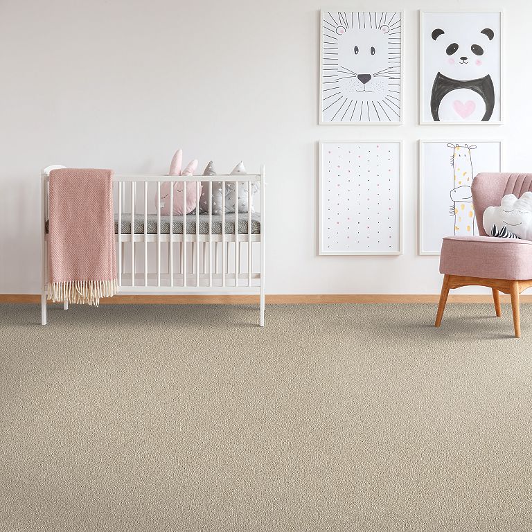 Mohawk Captivating Concept - Cypress Carpet