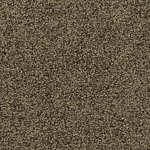 Mohawk Captivating Concept - Driftwood Carpet