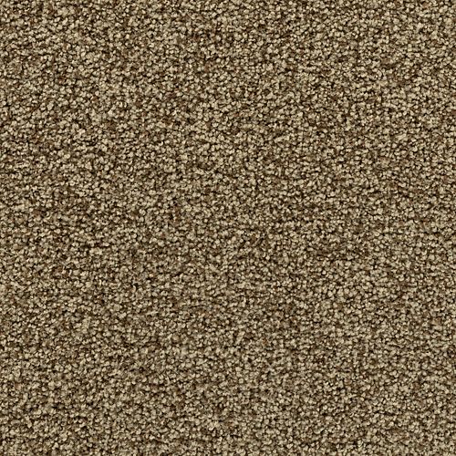 Mohawk Captivating Concept - Stardust Carpet