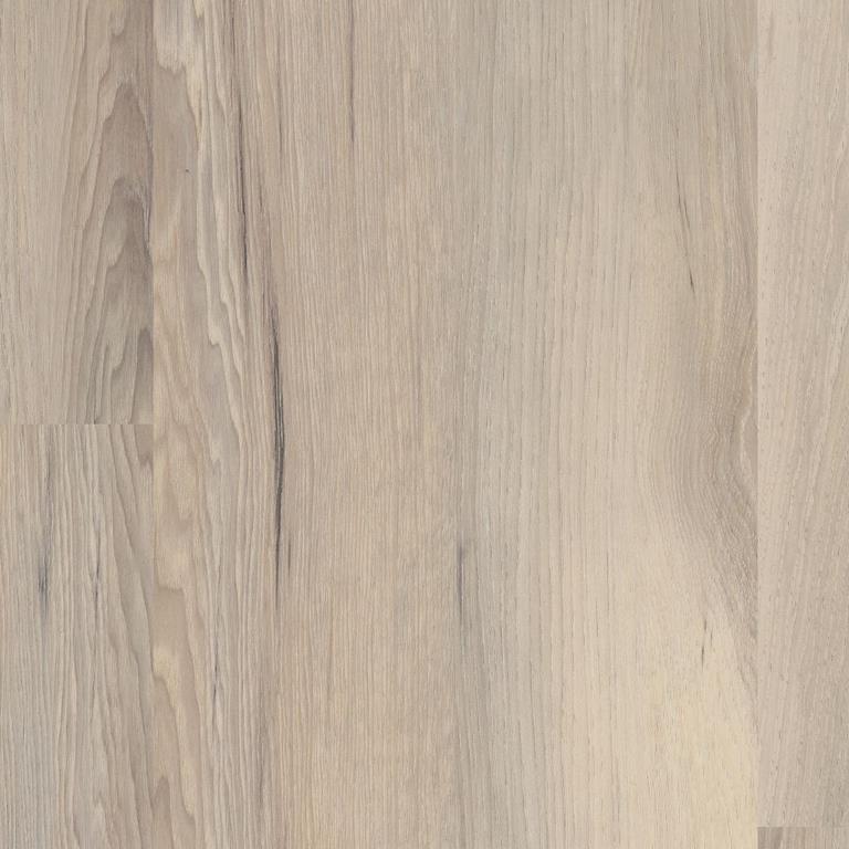COREtec One Plus VV585 50012 Ventura 6