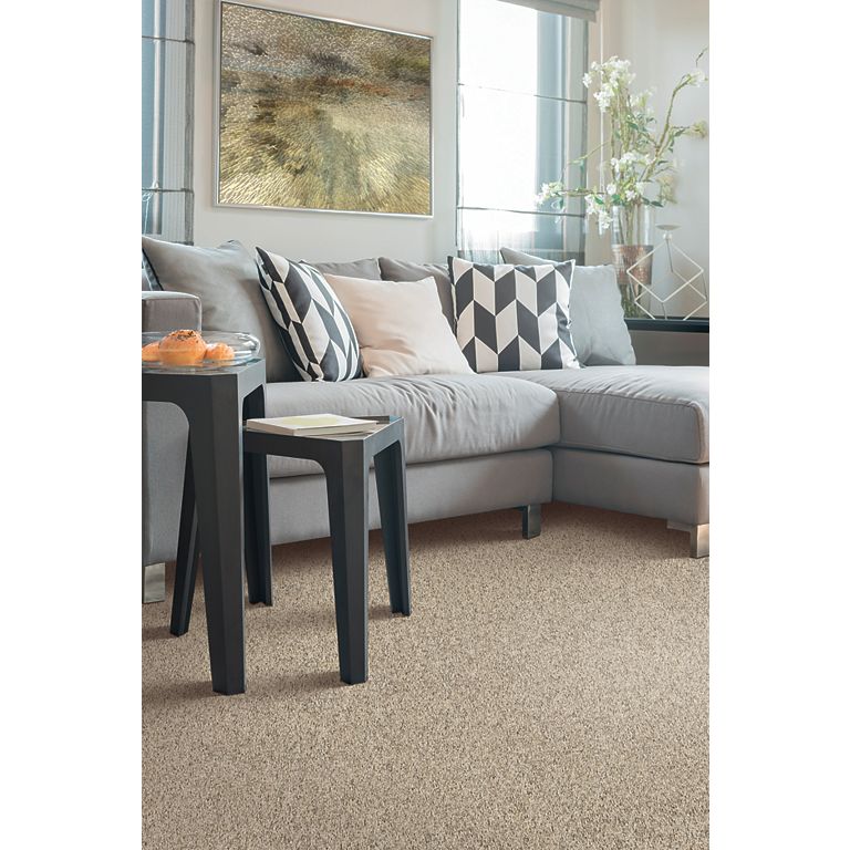 Mohawk Clear Unity - Santa Fe Trail Carpet