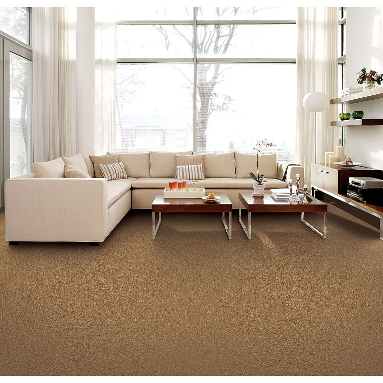 Mohawk Clever Fashion I - Cappuccino 15FT Carpet