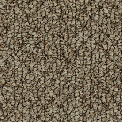 Mohawk Cozy Classic - Ancient Treasure 15FT Carpet
