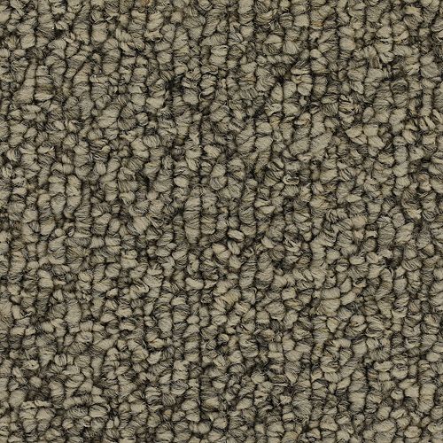 Mohawk Cozy Classic - Heathery Tint 12FT Carpet