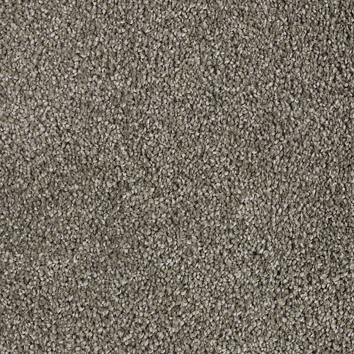Mohawk Delicate Tones I - Rocky Bluff Carpet