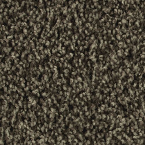 Mohawk Designer Style - Imperial Brown Carpet