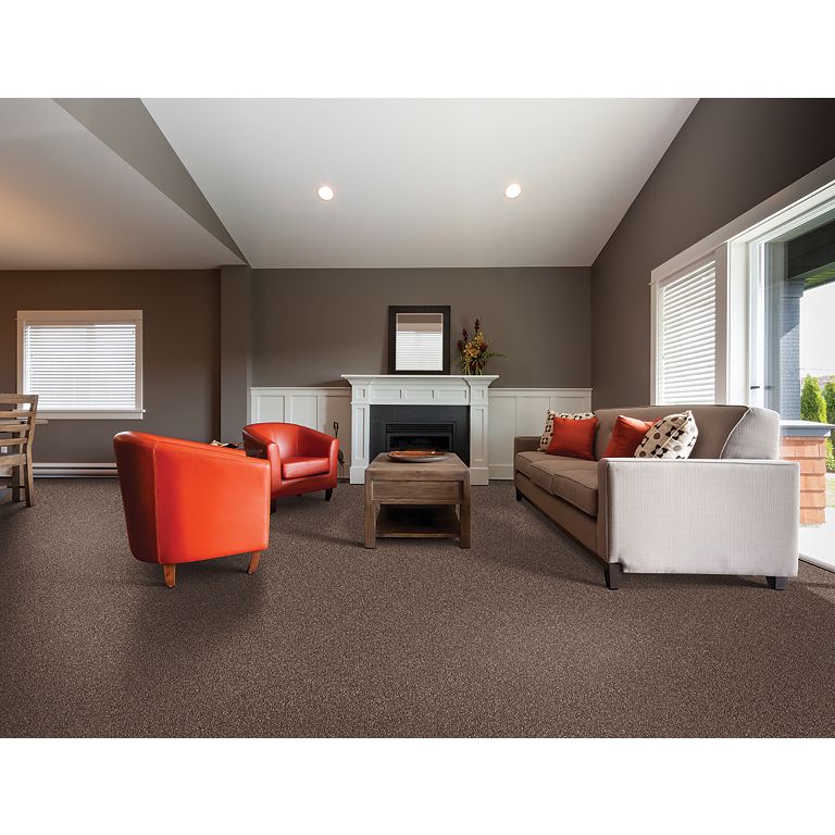 Mohawk Effortless Choice - Espresso Carpet