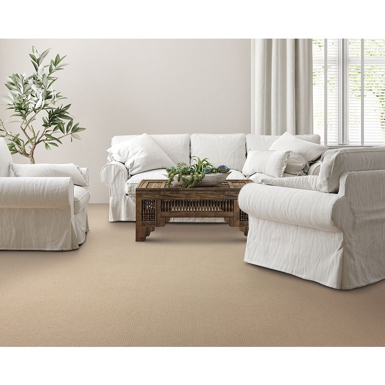 Mohawk Elegant Idea - Polo Carpet