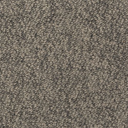 Mohawk Enduring Amazement - Notion Carpet