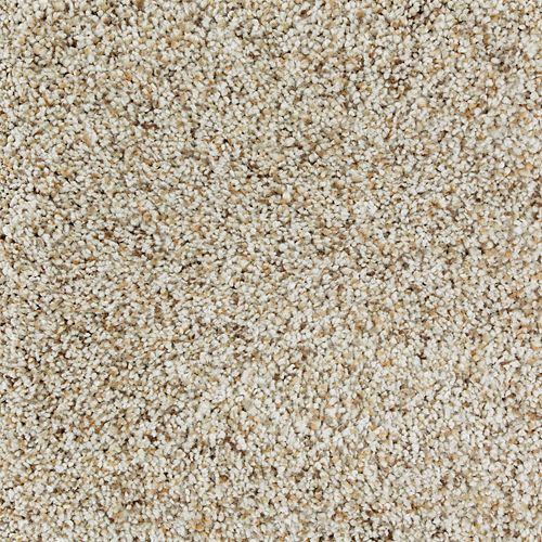 Mohawk Exquisite Appeal - Natures Blend Carpet