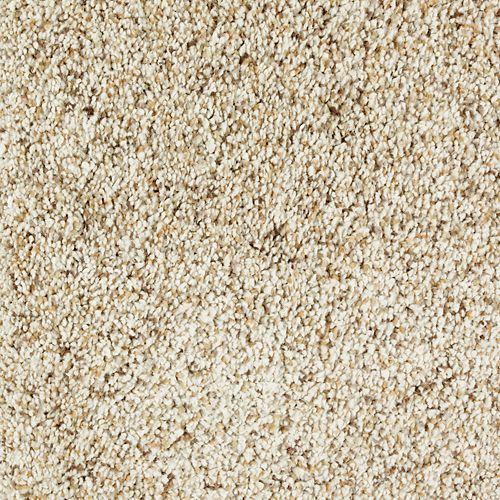 Mohawk Exquisite Appeal - Tumbleweed Carpet